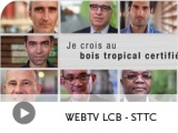 Des nouvelles vidéos à découvrir pour promouvoir le bois tropical certifié !